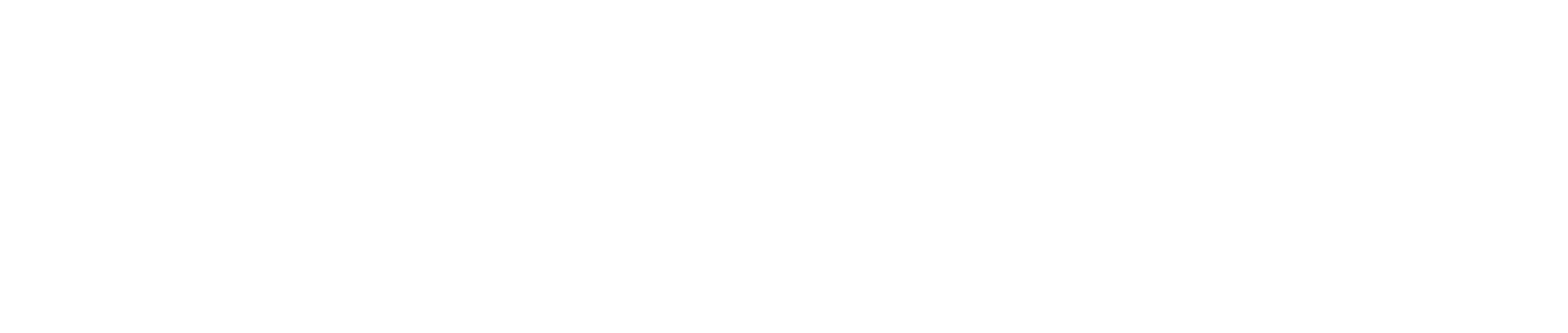 DigiMotive